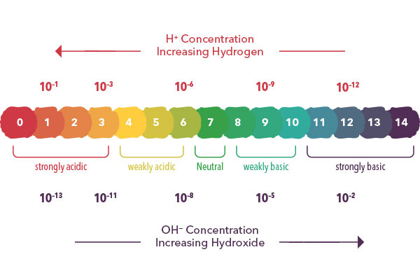 pH Scale | YSI the Ultimate pH Primer | pH