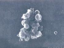 Phosphorus Baby FeOH Floc Dr. Vladimir Kitaev, Wilfrid Laurier University