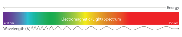 Phycocyanin and HAB Monitoring | YSI