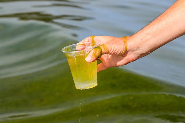 Manually Collecting Water Samples