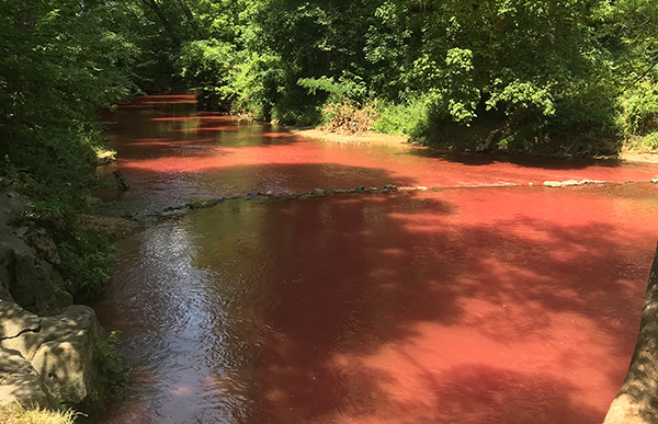 Rhodamine Dye Dispersal in Creek | YSI