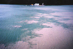 Shimen-Reservoir-Turbidity.jpg