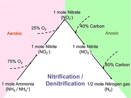 Nitrogen Removal