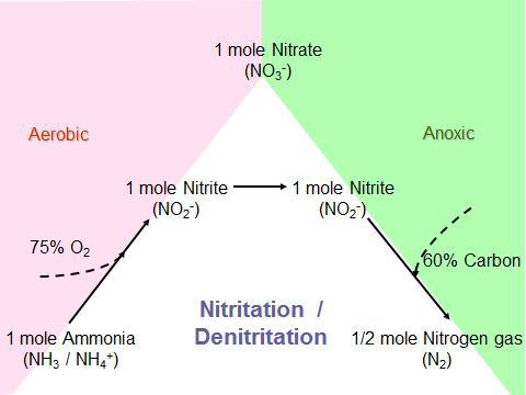 Shortcut-Nitrogen-Image-2.jpg