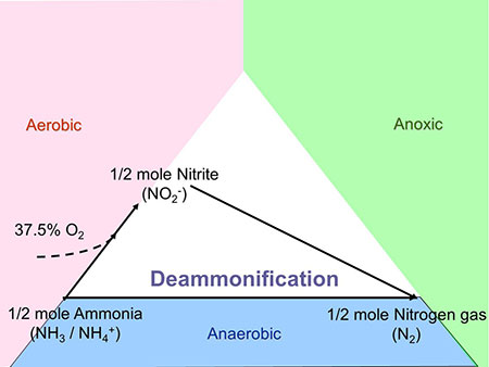 Nitrogen Removal | YSI