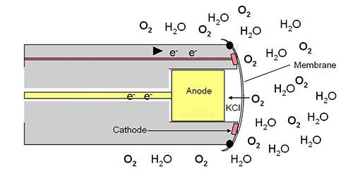 T605-Electrochemcial-DO-Sensor-with-Molecules.jpg