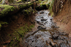 Tualatin-River-TMDL-Runoff.jpg