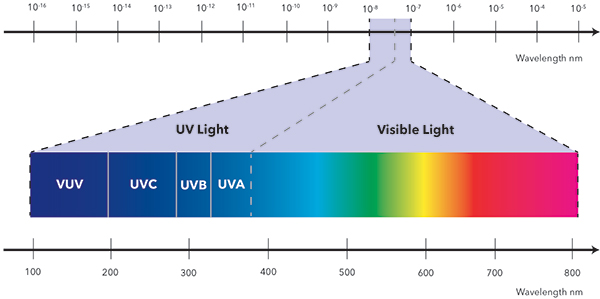 Electromagnetic Spectrum | YSI 
