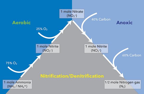 Nitrification and denitrification Wastewater Pathway Diagram | YSI IQ SensorNet