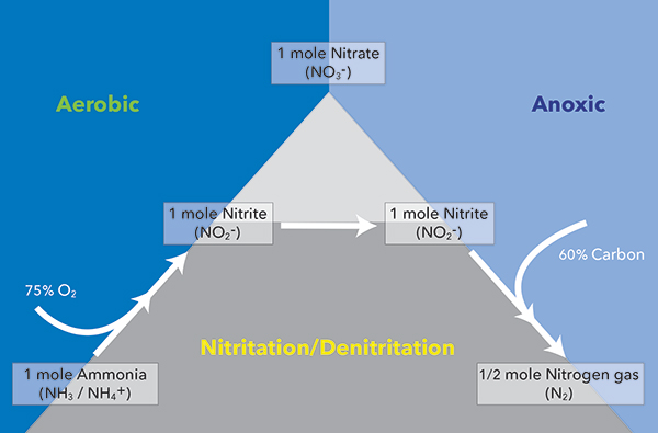 Nitritation and Denitritation Pathway Diagram | YSI IQ SensorNet