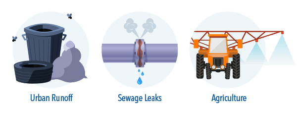 Examples of Nonpoint Source Pollution | YSI