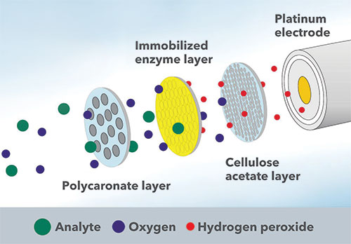 YSI-Life-Sciences-Enzyme-Electrode-Technology.jpg