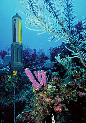 YSI Sonde Coral Reef Deployment in Guam