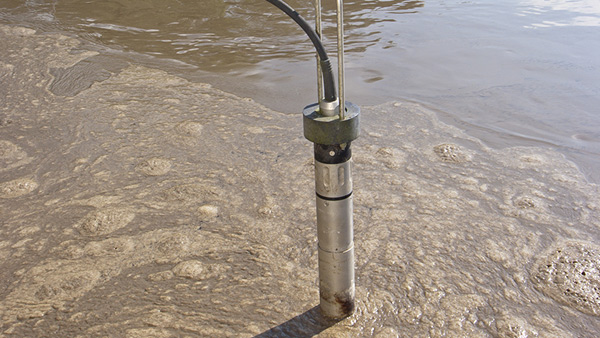 YSI Ammonium ISE Sensor Wastewater