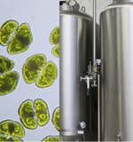 protein measurement biofuels glucose testing complex fermentation