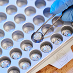 testing alternative proteins next generation protein sources