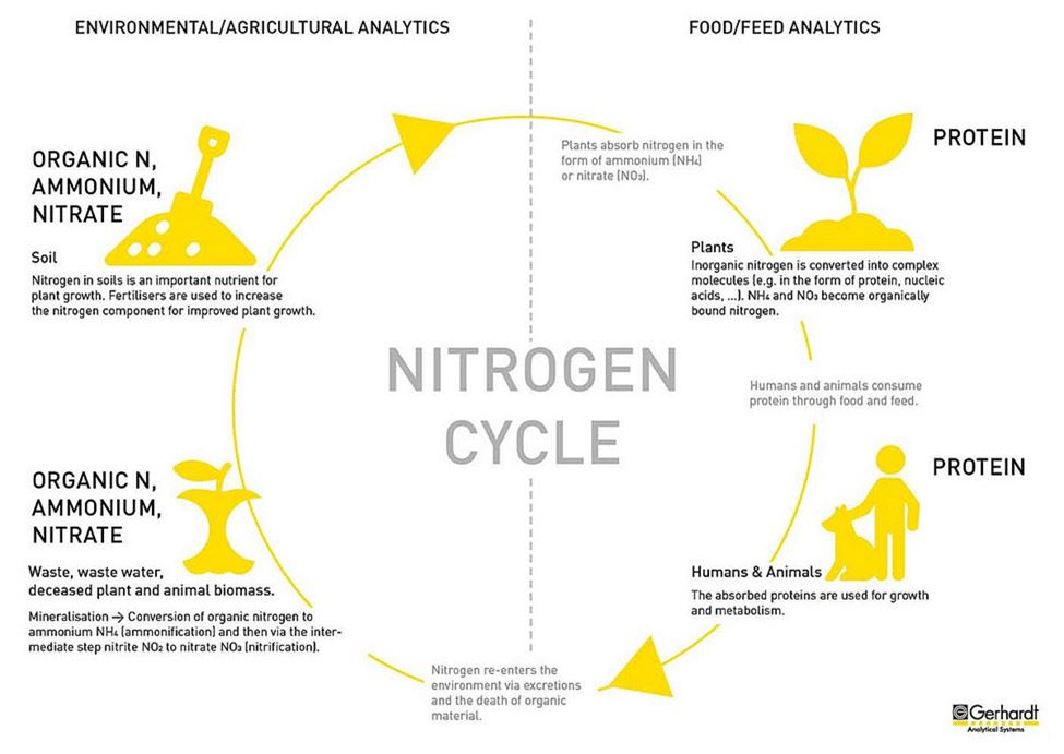 nitrogen cycle dairy analysis
