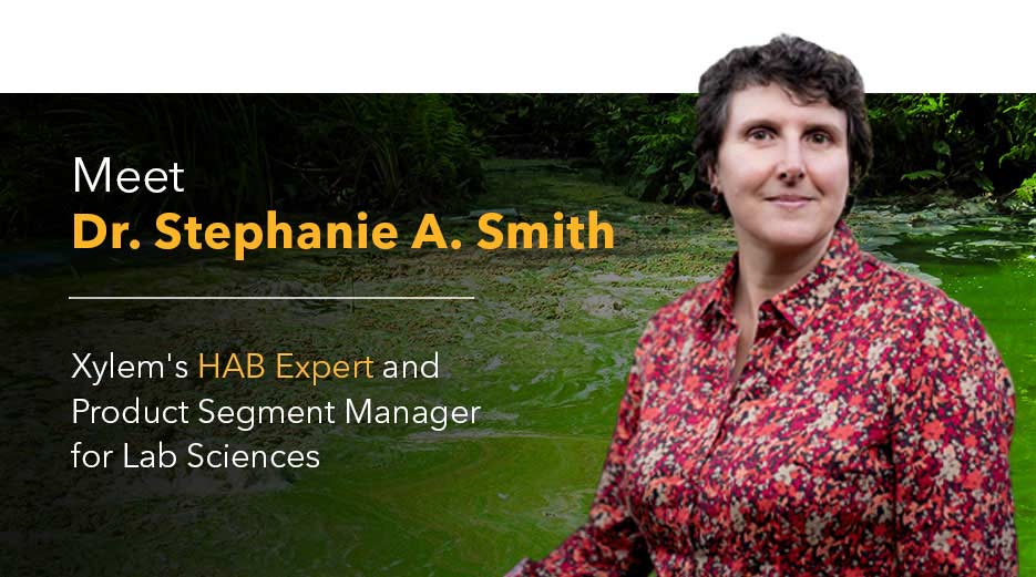 harmful algal bloom expert