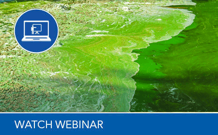 harmful algal bloom webinar