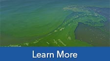 Harmful Algal Blooms Water Quality Monitoring