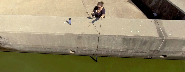 algae water quality monitoring sampling measurement