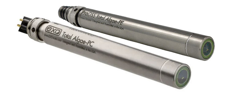 algae water quality sensors fluorescence phycocyanin phycoerythrin