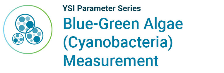 blue-green algae cyanobacteria measurement in water