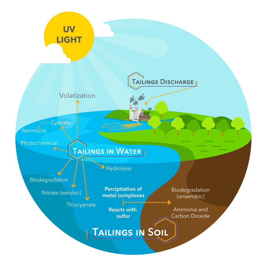 tailings discharge in water soil