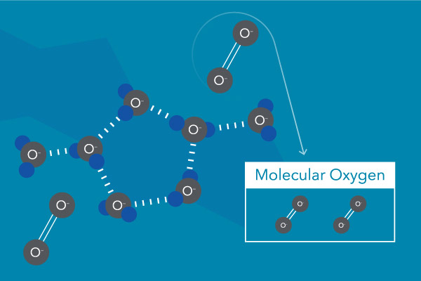 dissolved oxygen