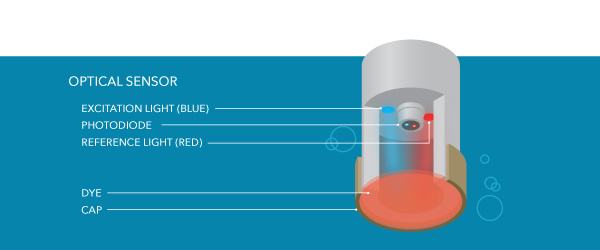 dissolved oxygen measurement optical sensor