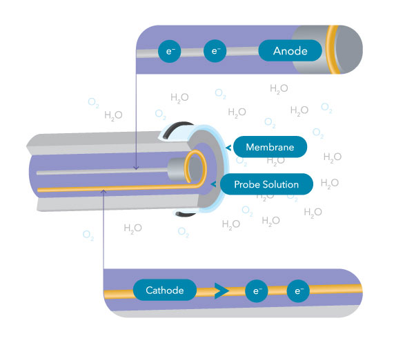 dissolved oxygen sensor electrochemical