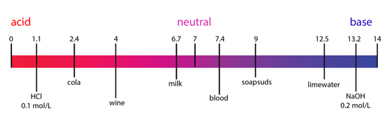 pH-scale-YSI.jpg