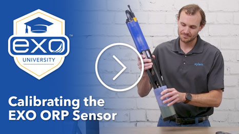 ORP Sensor Calibration