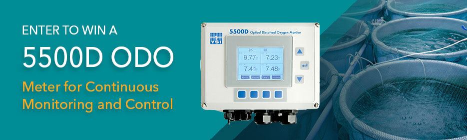 dissolved oxygen monitoring system